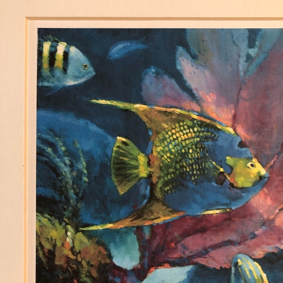 Artist Signed Watercolor Print - Rich Colors Intense Light - Bahama Fish Ocean - Picture 2 of 11